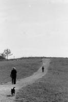 child walking along path