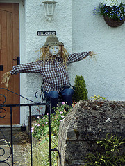 scarecrow in denim