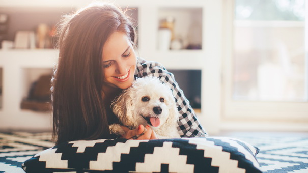 6 Affordable Home Remodel Tips for Pet Owners