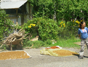 drying fruit