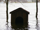 house underwater