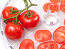 food dehydrator tray