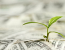 crucial things you need to know about bonds