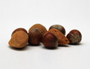A selection of nuts