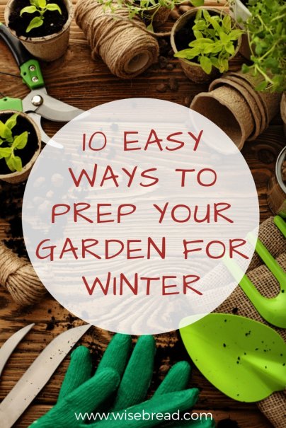 10 Easy Ways to Prep Your Garden for Winter