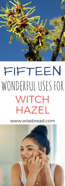 15 Wonderful Uses for Witch Hazel