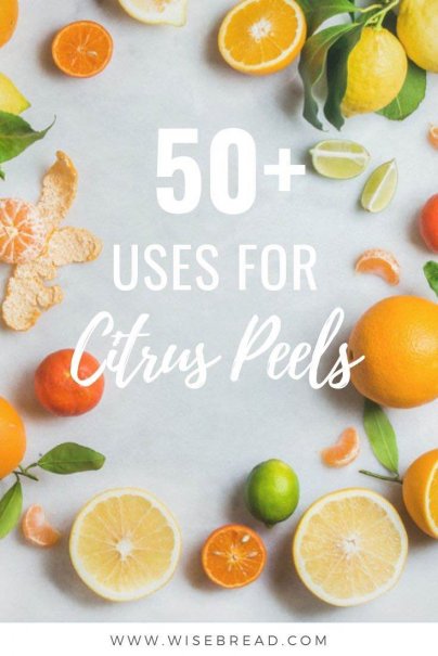 Eating an orange, lemon, grapefruit, or lime peel doesn't sound appetizing, but the citrus peel is a great source of oil that is used as a solvent in many products, such as citrus-based cleaners, and is also a natural pesticide. The rind is also a nutritious source of fiber and vitamins. Here are 52 ways to get the most value out of those peels! | #citruspeels #citrus #frugalliving