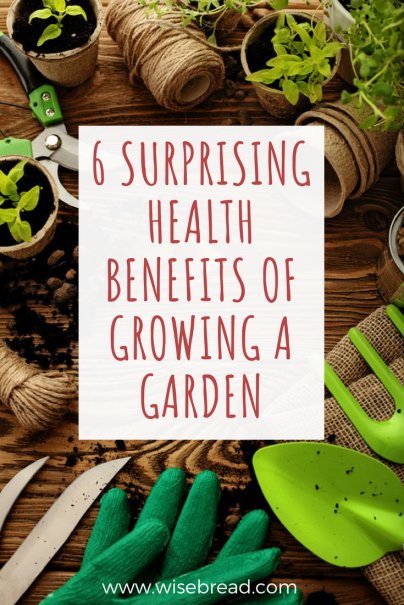 6 Surprising Health Benefits of Growing a Garden