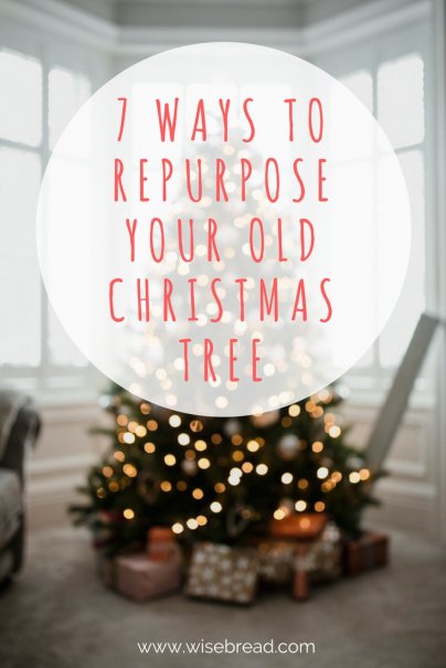 7 Ways to Repurpose Your Old Christmas Tree
