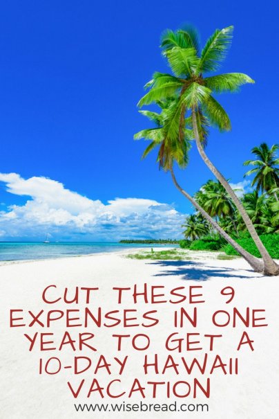 Cut These 9 Expenses in One Year to Get a 10-Day Hawaii Vacation