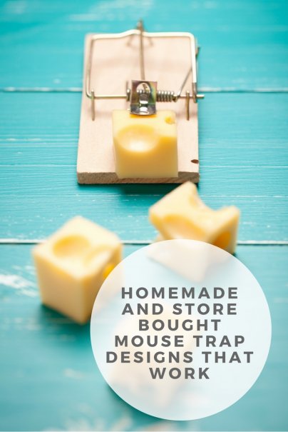 Homemade and Store Bought Mouse Trap Designs That Work