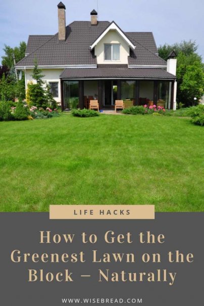 Want a green and lush lawn, without using chemicals. We’ve got the tips to help you DIY a natural green lawn! | #DIY #greenlawn #househacks