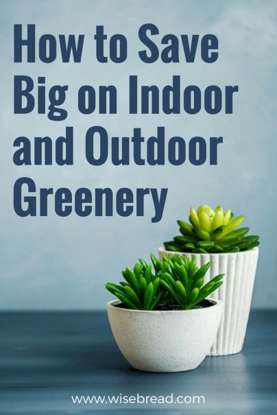 How to Save Big on Indoor and Outdoor Greenery