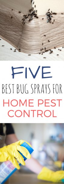 The 5 Best Bug Sprays for Home Pest Control