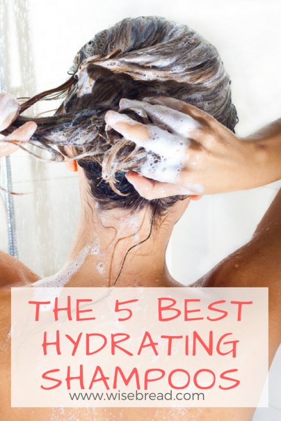 The 5 Best Hydrating Shampoos