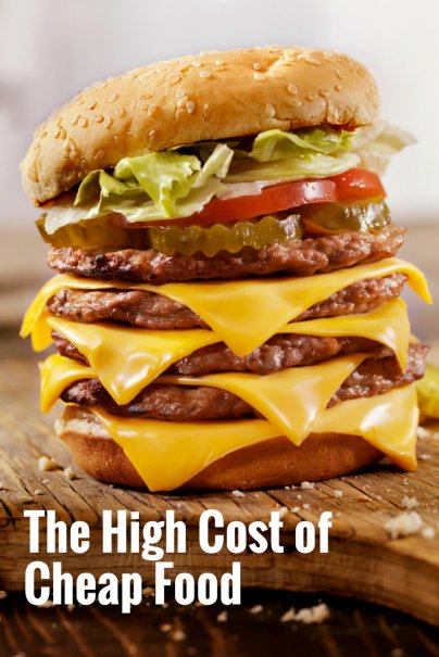The High Cost of Cheap Food