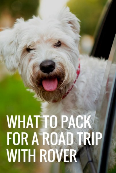 What to pack for a road trip with Rover