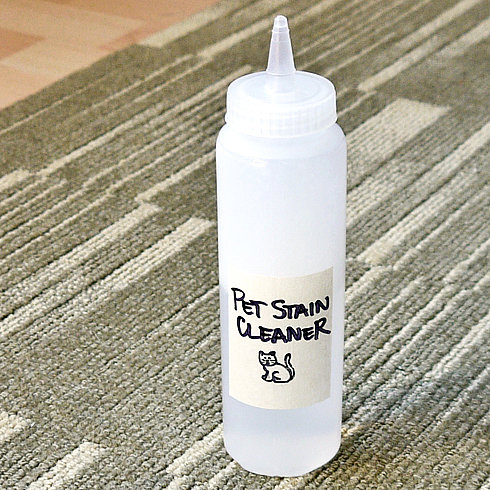 Pet stain cleaner