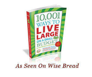 Wise Bread's Money Saving Book: 10,001 Ways to Live Large on a Small Budget